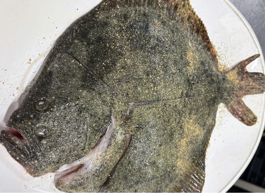 Pieza entera de Rodaballo salvaje (Turbot) fresco, sazonado y con cortes marcados, listo para entrar en el horno Josper de KRAM Andorra.